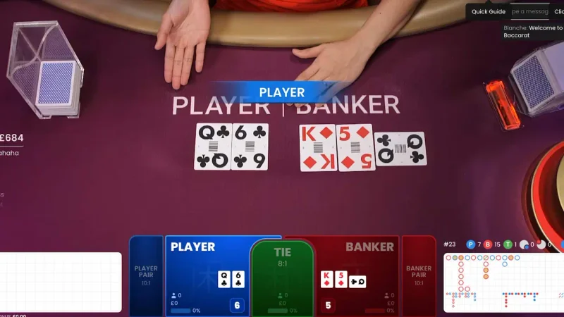 Live Dealer Table Etiquette & Guidelines Visual Guide