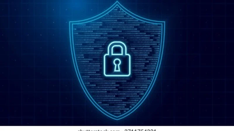 Privacy Policy & Data Security Safeguards Visual Guide