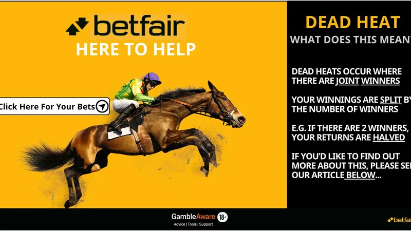 Cricket Betting Settlement Rules Visual Guide