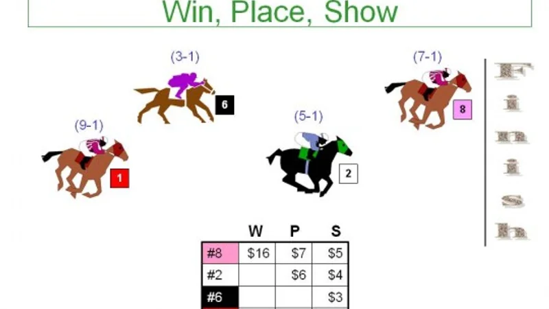 Horse Racing Betting & Exchange Markets Visual Guide