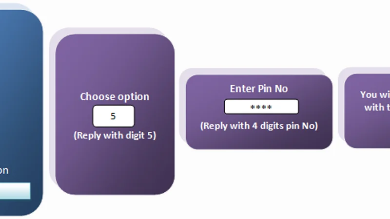 Dutch-Bangla Bank Rocket Payment Guide Visual Guide