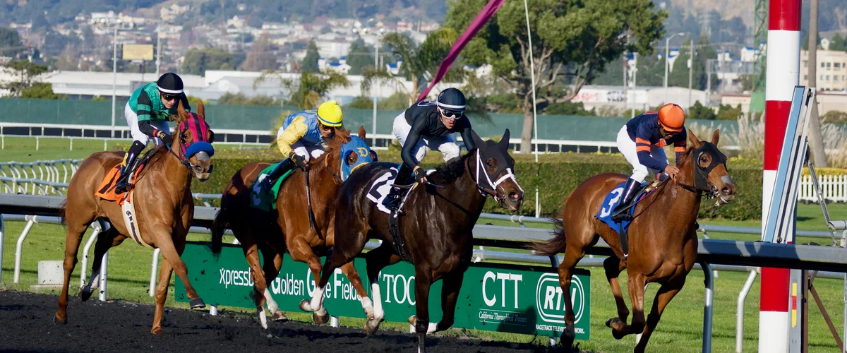 Horse Racing Betting BD - UK, Dubai & Australia Odds 2026 Hero Banner